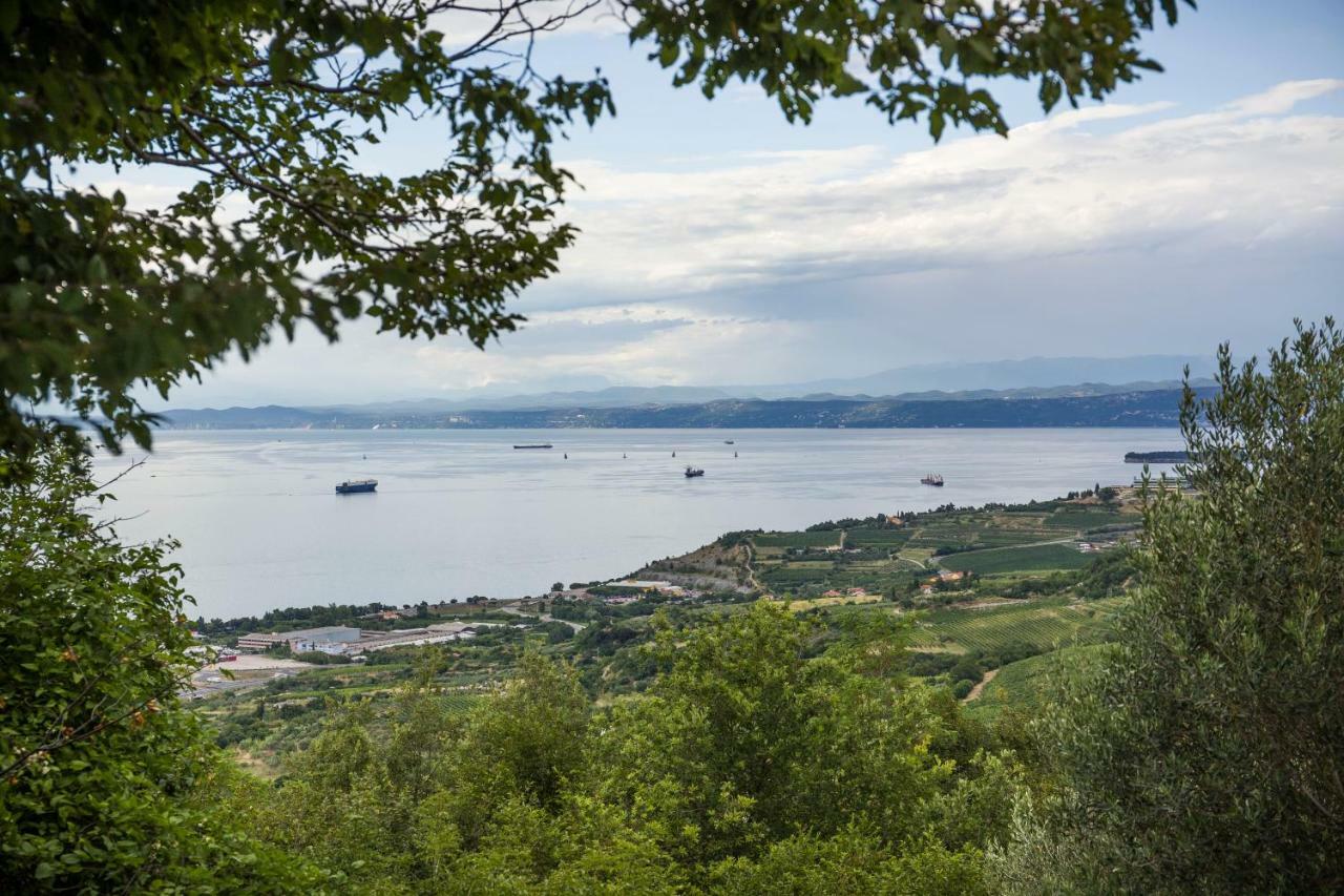 Baredi * Izola