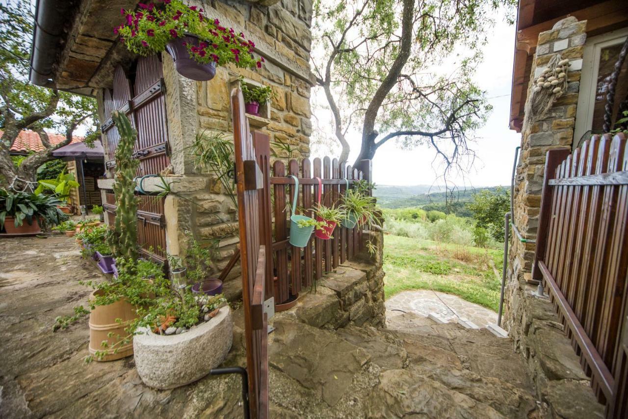Baredi Apartment