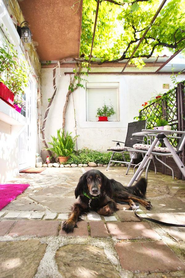 Apartment Baredi